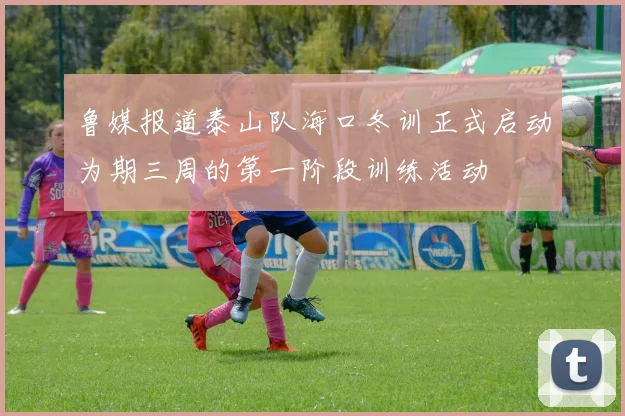 鲁媒报道泰山队海口冬训正式启动为期三周的第一阶段训练活动